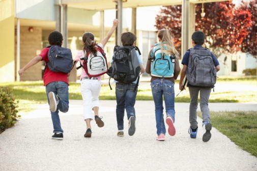 "Vi måste sluta uppfatta skolan som en skola, utan snarare se det som en variation av skolor med olika förutsättningar, ibland är det nästan olika världar", säger Niclas Rönnström, utbildningschef för Rektorsprogrammet vid Stockholms universitet.