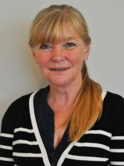 Susanne Andersson, Institutionen för pedagogik och didaktik Susanne Andersson, Institutionen för pedagogik och didaktik