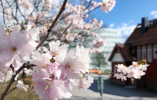 Foto: Stockholms universitet